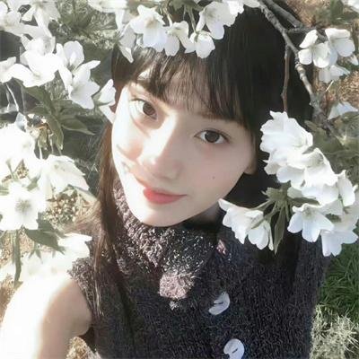 犯罪生涯